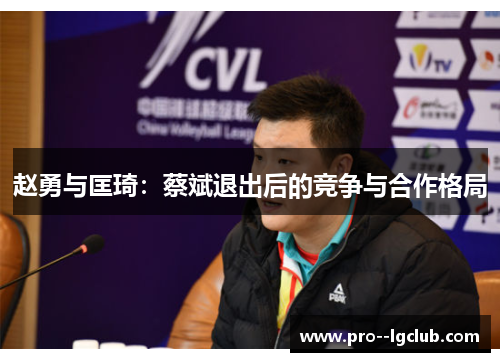 赵勇与匡琦:蔡斌退出后的竞争与合作格局 赵勇与匡琦:蔡斌退出后的竞争与合作格局