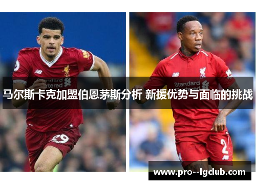 马尔斯卡克加盟伯恩茅斯分析 新援优势与面临的挑战