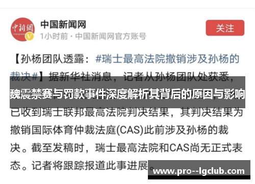 魏震禁赛与罚款事件深度解析其背后的原因与影响